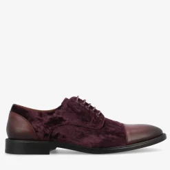 TAFT The Jack Shoe In Pinot |
